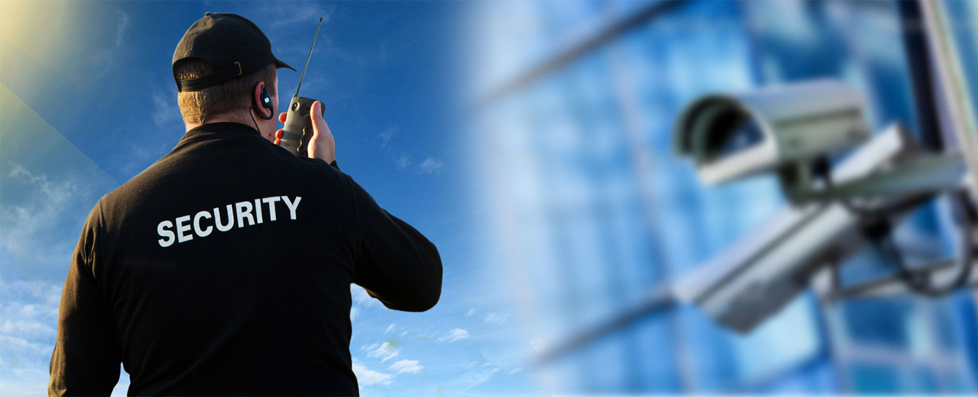 Professional Security Services
